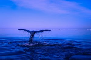 long-tail keywords